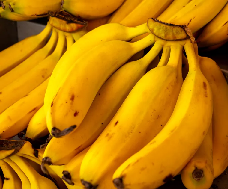 Banane, osim što pomažu pri dijareji, pomoć će vam kod žgaravice ili refluksa. Banane sadrže veliku količinu pektina koji je preporučljiv kod želučanih tegoba. Isto tako, sadrže puno kalija i elektrolita koje tijelo gubi prekomjernim izbacivanjem tekućine.