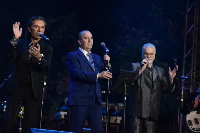 Naime, na nekim koncertima organizatori nisu potpisom jamčili da se Grdović mora pojaviti trijezan, jedan od takvih je i CMC festival u Vodicama gdje pjevač mora otpjevati pjesmu &quot;Za šaku ljubavi&quot; s Jasminom Stavrosom i Zlatkom Pejakovićem. &quot;Vjerujemo da će se Mladen dotad oporaviti i doći k sebi. Iskreno nam je žao zbog svih ovih stvari koje je on samom sebi priuštio. Nastavi li ovako, on će uskoro imati velikih poteškoća sa zdravljem, počet će mu, ne daj bože, otkazivati jetra i ostali organi, i to je velika žalost. Jer, kada je trijezan, Mladen je najbolji čovjek na svijetu&quot;, rekli su organizatori CMC festivala za Jutarnji te naveli da se Mladen teško miri sa smrti brata Paula 