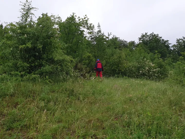 HGSS, potraga za avionom