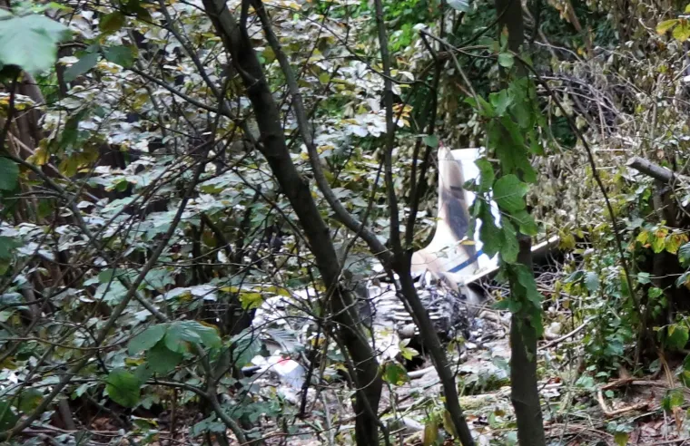 Mjesto pada aviona nalazi se na nepristupačnom &scaron;umovitom terenu