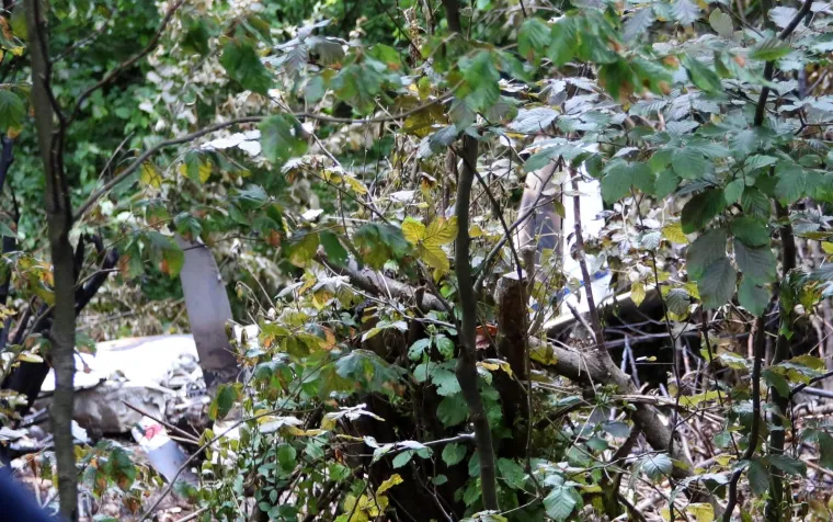 Mjesto pada aviona nalazi se na nepristupačnom &scaron;umovitom terenu