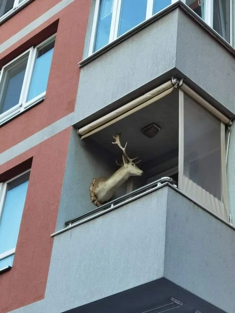 Danas u na&scaron;oj urnebesnoj galeriji, sutra u Hrvatskoj: Donosimo najuđe prizore iz države dragih nam gostiju