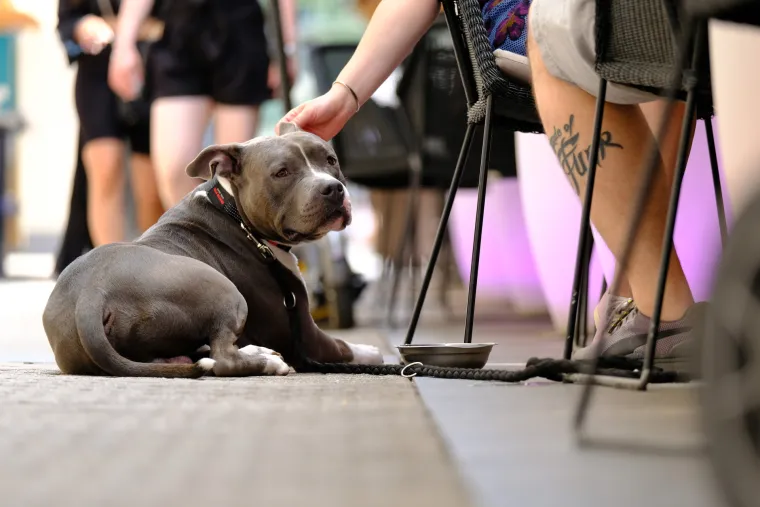 Pasja vrućina uz sladolede, &scaron;e&scaron;ire, fontane... Ovako se danas Zagrepčani hlade. Temperatura je oko 30 u hladu