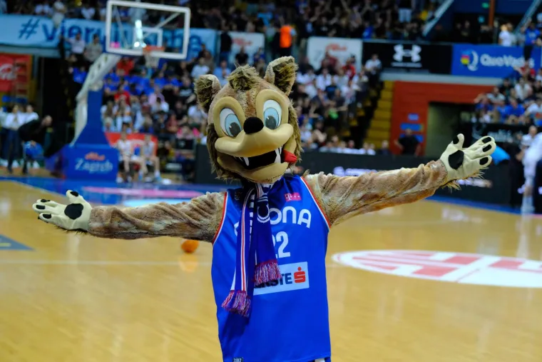 Totalna ludnica u Draženovu domu. Pogledajte paklenu atmosferu s utakmice Cibone i Zadra, pažnju privukle atraktivne plesačice