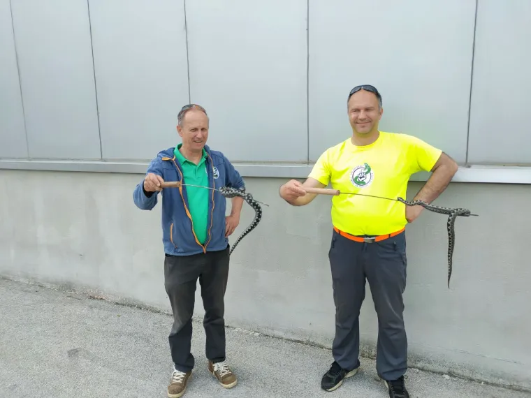 poskoci iz Perušića