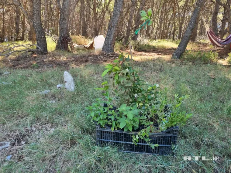 Ekipa RTL-a posjetila otok Jaz na kojem živi &scaron;vedska manekenka: Pogledajte koga i &scaron;to su prona&scaron;li