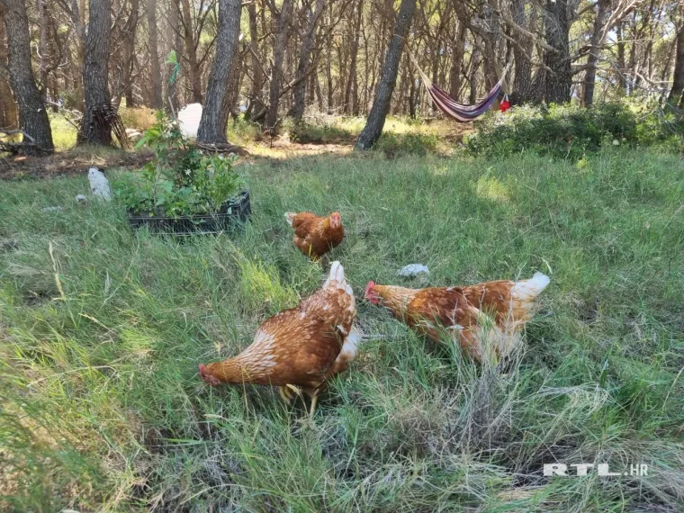 Ekipa RTL-a posjetila otok Jaz na kojem živi &scaron;vedska manekenka: Pogledajte koga i &scaron;to su prona&scaron;li