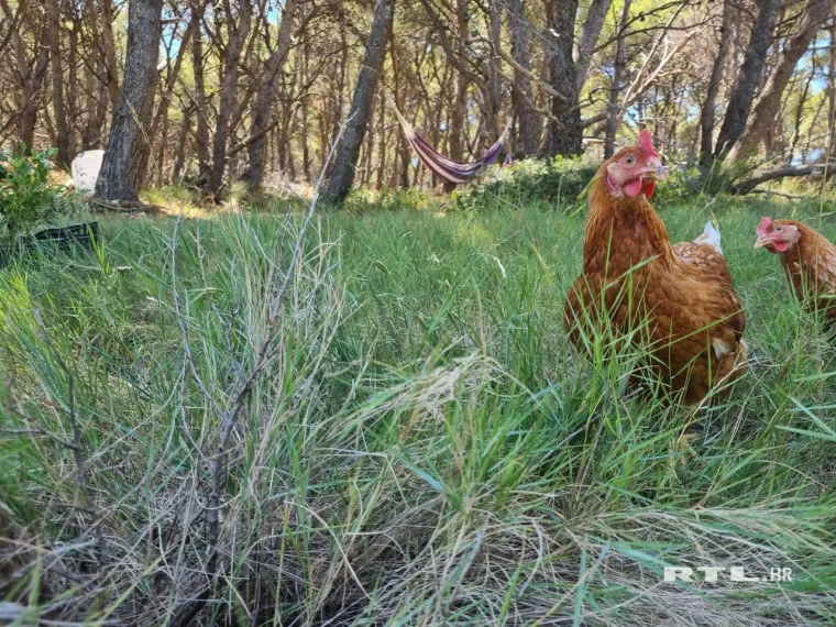 Ekipa RTL-a posjetila otok Jaz na kojem živi &scaron;vedska manekenka: Pogledajte koga i &scaron;to su prona&scaron;li