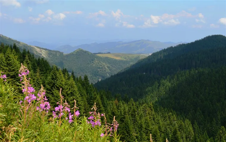 Kopaonik
150 kuna  - noćenje u privatnom apartmanskom smještaju za dvoje, bez obroka
Od 290 do 390 kuna - noćenje s doručkom po osobi u hotelu
