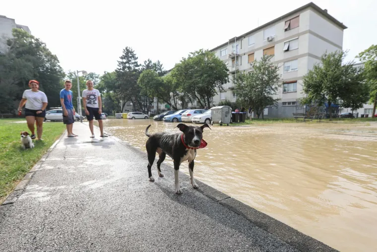 U Gajnicama pukla cijev, poplavljeno parkiralište i okolne ulice: 'Djeca i psi jedini guštaju...'