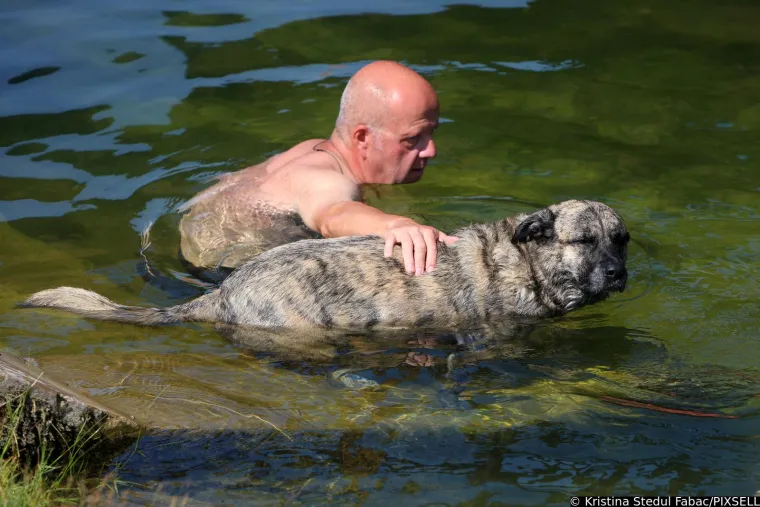 Psi su jedva dočekali skočiti u Koranu: Karlovčani poveli ljubimce na kupanje, pogledajte to veselje!