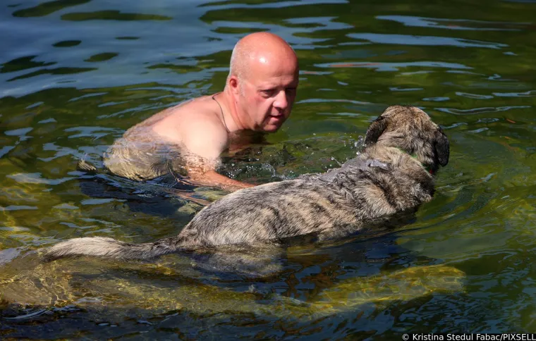 Psi su jedva dočekali skočiti u Koranu: Karlovčani poveli ljubimce na kupanje, pogledajte to veselje!
