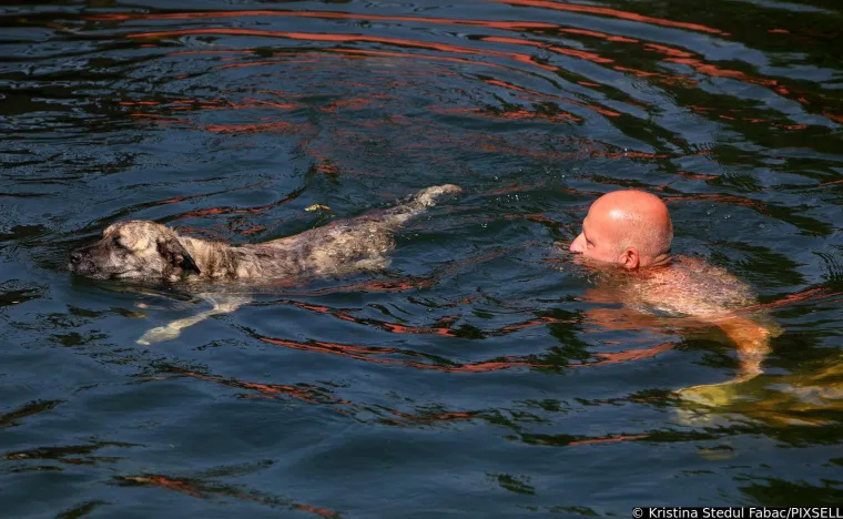 Psi su jedva dočekali skočiti u Koranu: Karlovčani poveli ljubimce na kupanje, pogledajte to veselje!