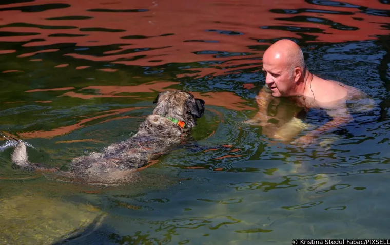 Psi su jedva dočekali skočiti u Koranu: Karlovčani poveli ljubimce na kupanje, pogledajte to veselje!