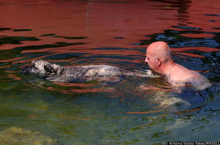 Psi su jedva dočekali skočiti u Koranu: Karlovčani poveli ljubimce na kupanje, pogledajte to veselje!