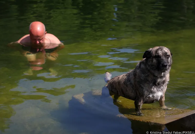 Psi su jedva dočekali skočiti u Koranu: Karlovčani poveli ljubimce na kupanje, pogledajte to veselje!