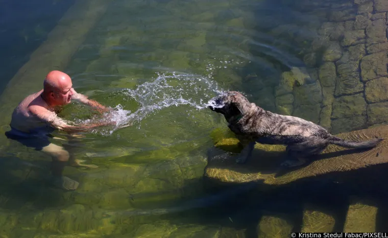 Psi su jedva dočekali skočiti u Koranu: Karlovčani poveli ljubimce na kupanje, pogledajte to veselje!