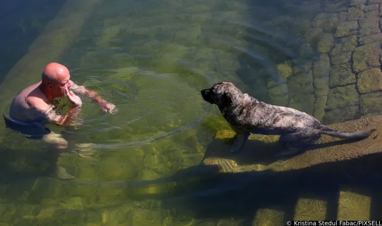 Psi su jedva dočekali skočiti u Koranu: Karlovčani poveli ljubimce na kupanje, pogledajte to veselje!