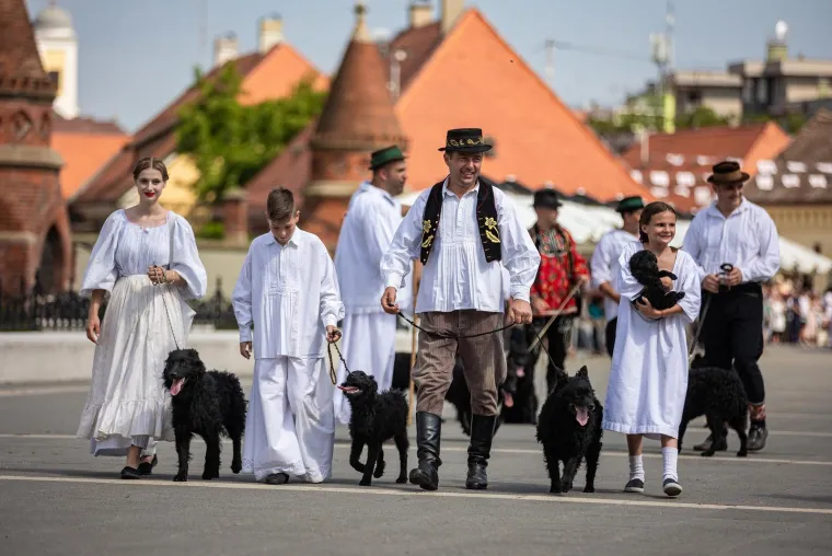 Održan svečani mimohod 'Đakovačkih vezova', a predstavljen je i folklor Ukrajine: Pogledajte kako je to izgledalo
