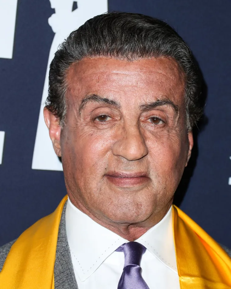 Godine 2010. Stallone je ostvario veliki komercijalni uspjeh akcijskim filmom &quot;Plaćenici&quot; u kojem je okupio ostale velike zvijezde akcijskog filma: Jasona Stathama, Dolpha Lundgrena i Jet Lija uz pojavljivanje Brucea Willisa i Arnolda Schwarzeneggera. Dvije godine kasnije u kinima se pojavio nastavak &quot;Plaćenici 2&quot;, koji je okupio većinu glumaca iz prvog filma, ali i doveo pojačanja poput Chucka Norrisa i Jean-Claudea Van Dammea.