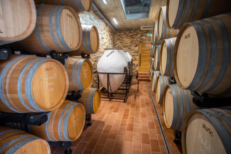 Vinarija Tomislava Tolu&scaron;ića, za koju je dobio 2,5 milijuna eura iz EU-a, na meti je europskih tužitelja. 