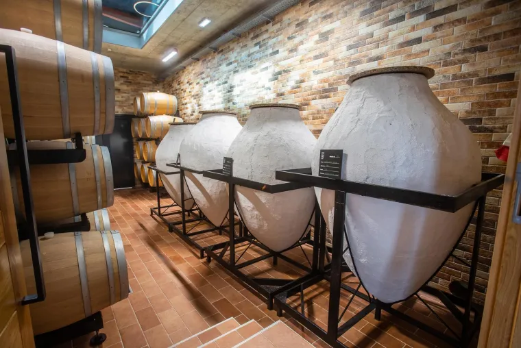 Ovo je luksuzna vinarija zbog koje je policija uhitila biv&scaron;eg ministra Tomislava Tolu&scaron;ića