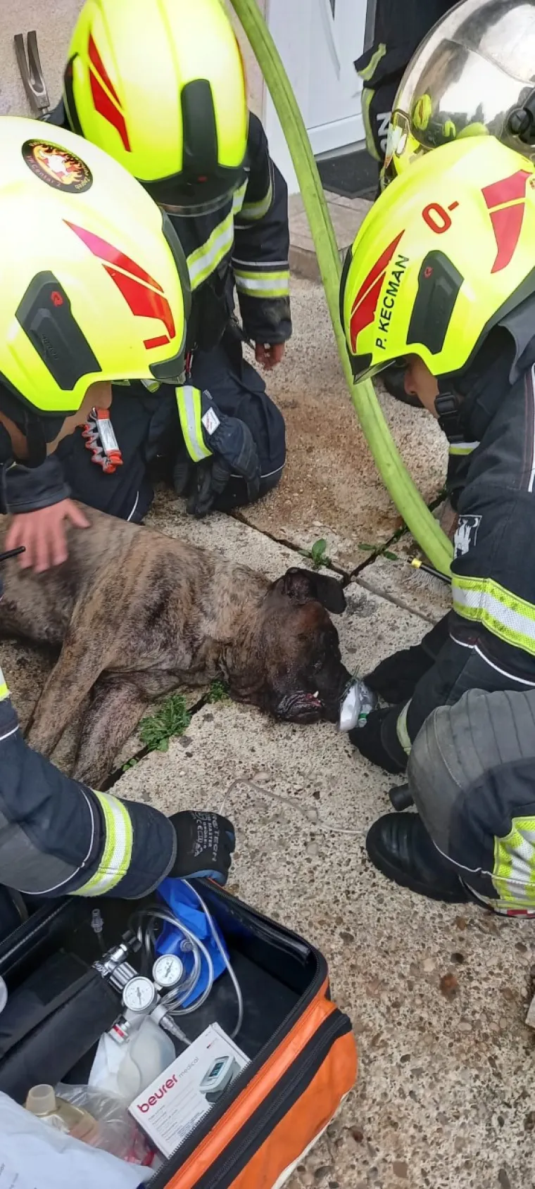 Heroji velikog srca! Pogledajte kako su zagrebački vatrogasci spasili psa iz požara obiteljske kuće