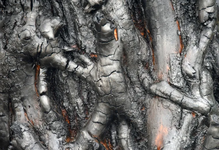 Galerija stra&scaron;nih prizora požara u Puli: Veliki oblak gustog dima nad naseljem, vatrogasci se bore sa stihijom