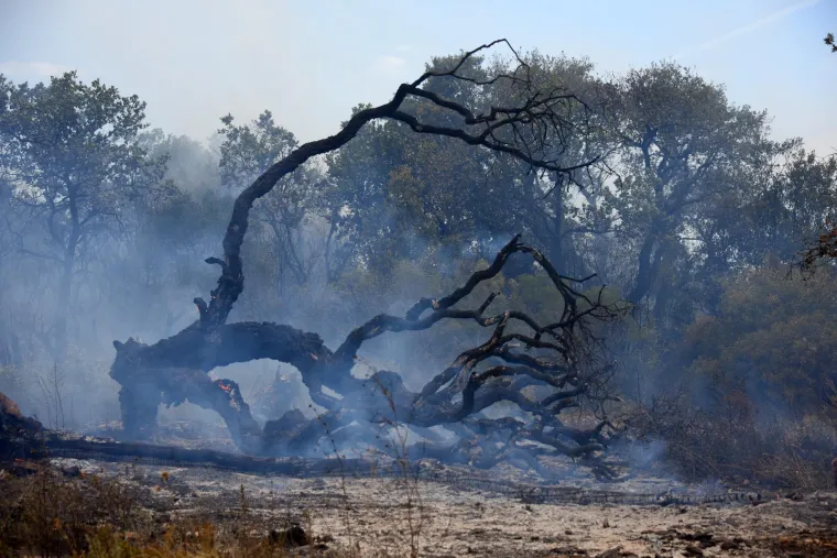 Hrabri Puljani srčano se bore da ugase požare koji bjesne na vi&scaron;e mjesta u gradu