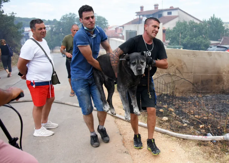 Pulu je od ognja branilo 80 vatrogasaca, 30 vozila, 3 kanadera i hrabri građani opremljeni... pogledajte čime
