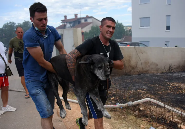 Pulu je od ognja branilo 80 vatrogasaca, 30 vozila, 3 kanadera i hrabri građani opremljeni... pogledajte čime