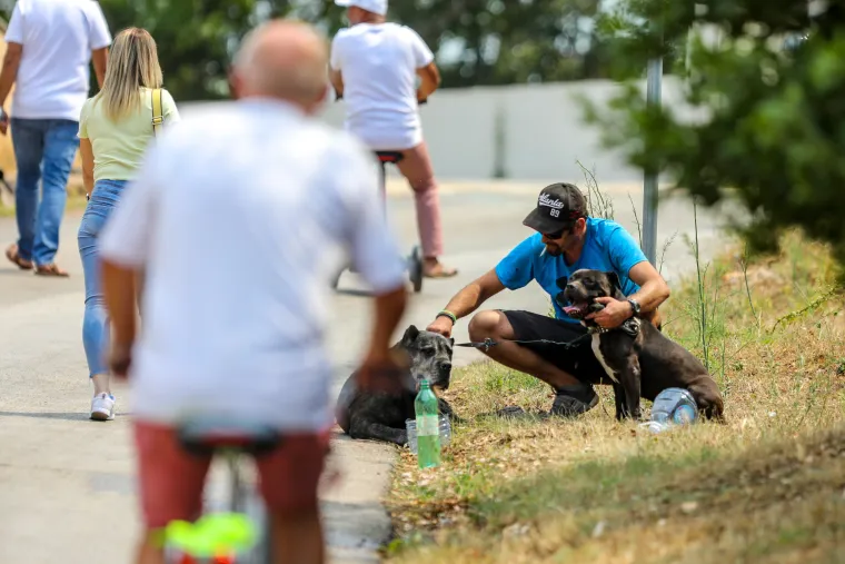 Pulu je od ognja branilo 80 vatrogasaca, 30 vozila, 3 kanadera i hrabri građani opremljeni... pogledajte čime