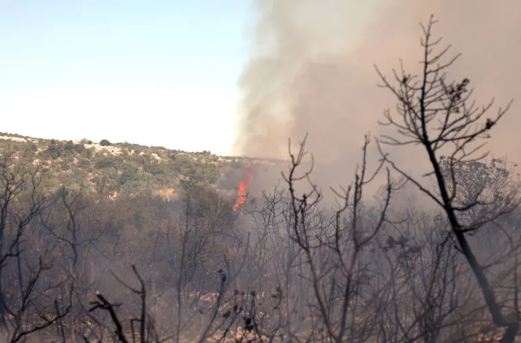 Vatrena stihija hara Dalmacijom: Sve vatrogasne snage su na terenu, vjetar otežava ga&scaron;enje