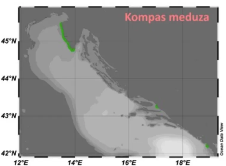 Gdje su sve primijećene meduze na Jadrana u tjednu od 9. do 15. srpnja