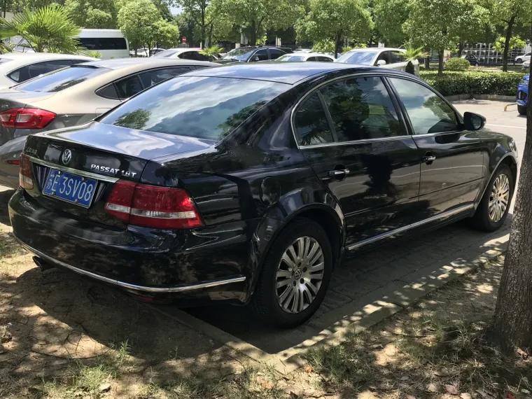 Passat se prodavao i u ostatku svijeta, ali nije svugdje nosio isto ime. Tako se kineska verzija Passata zvala Lingyu, a zapravo se radilo o restiliziranoj verziji prve generacije Škode Superb. Proizveden od strane SAIC Volkswagena, Passat Lingyu predstavljen je 2005. godine, naslijeđujući Passat B5. Godine 2009. predstavljena je dorađena verzija kao Passat New Lingyu (Xinlingyu).  Proizvodnja je trajala do 2011. godine i zamijenio ga je Passat NMS. Volkswagen je sredinom 2008. izradio 20 primjeraka Passata Lingyu na gorive ćelije koji će biti predstavljen na Olimpijskim igrama u Pekingu 2008. Postojala i verzija slična europskoj koja se u Kini zvala Magotan