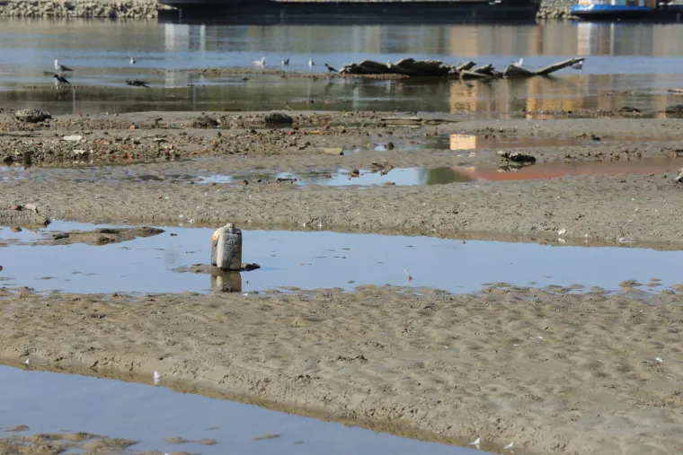 Ove fotografije otkrivaju zastra&scaron;ujuće posljedice dugotrajne su&scaron;e i toplinskog vala: Drava se gotovo povukla iz korita