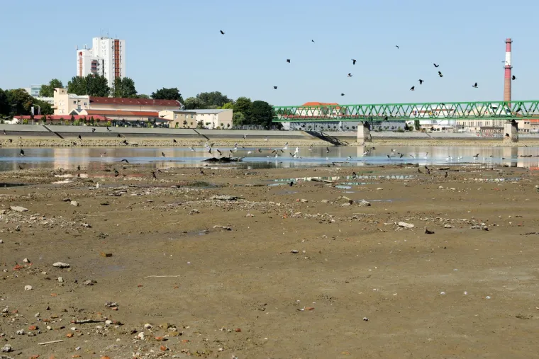 Ove fotografije otkrivaju zastra&scaron;ujuće posljedice dugotrajne su&scaron;e i toplinskog vala: Drava se gotovo povukla iz korita