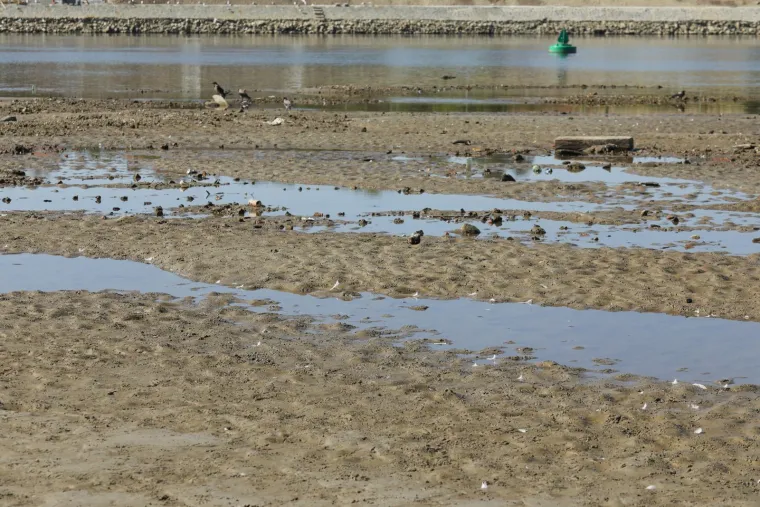 Ove fotografije otkrivaju zastra&scaron;ujuće posljedice dugotrajne su&scaron;e i toplinskog vala: Drava se gotovo povukla iz korita