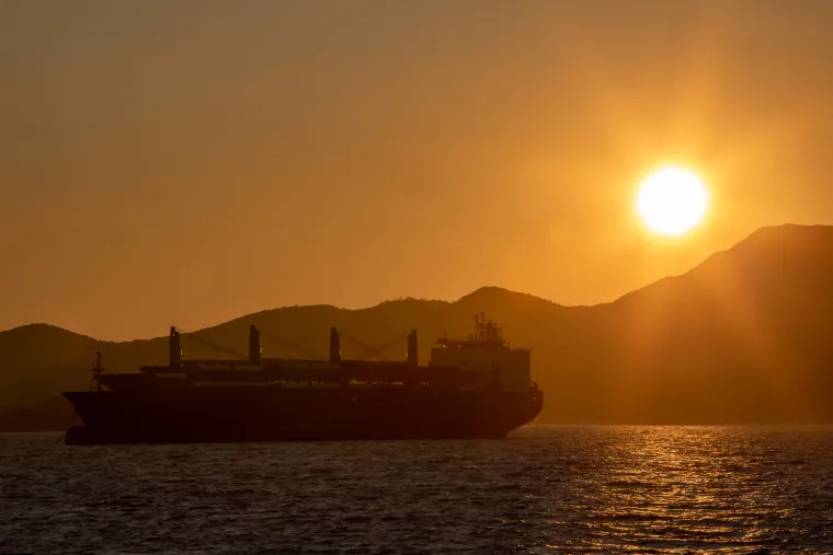 Lopata po lopata... Pogledajte kako je tekla gradnja velebnog mosta koji je spojio Hrvatsku