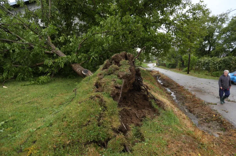 Vjetar je čupao ogromna stabla i nosio krovove! Pogledajte posljedice snažnog nevremena kod Karlovca