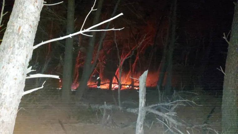 Nizozemska obitelj obranila od požara otočić Mladine u PP Lastovsko otočje nakon udara groma