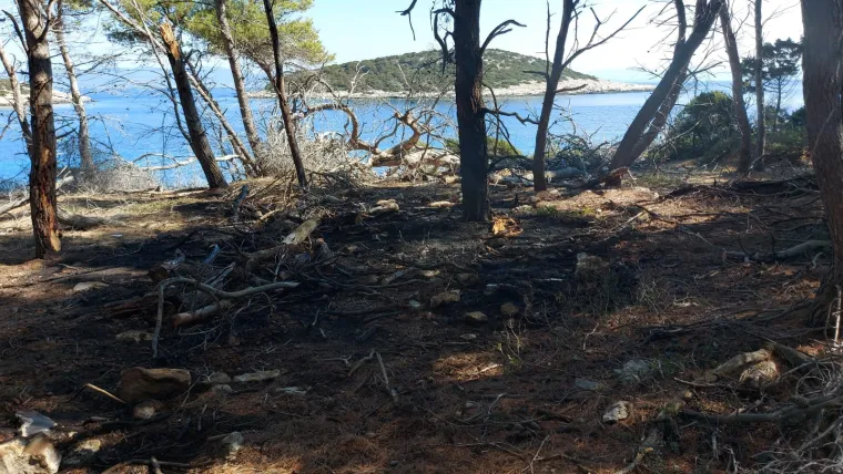 Nizozemska obitelj obranila od požara otočić Mladine u PP Lastovsko otočje nakon udara groma