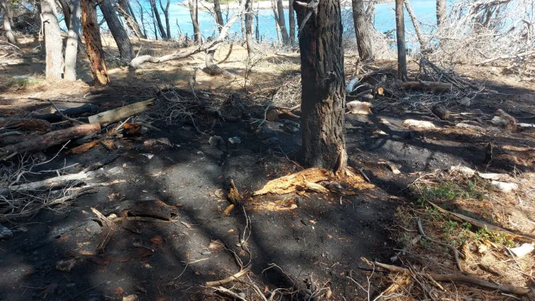 Nizozemska obitelj obranila od požara otočić Mladine u PP Lastovsko otočje nakon udara groma