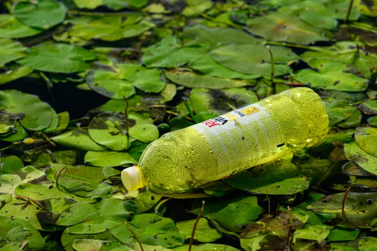 Pogledajte prizore Jaruna koji je prekriven muljem i smećem, a kupači plivaju među lopočima