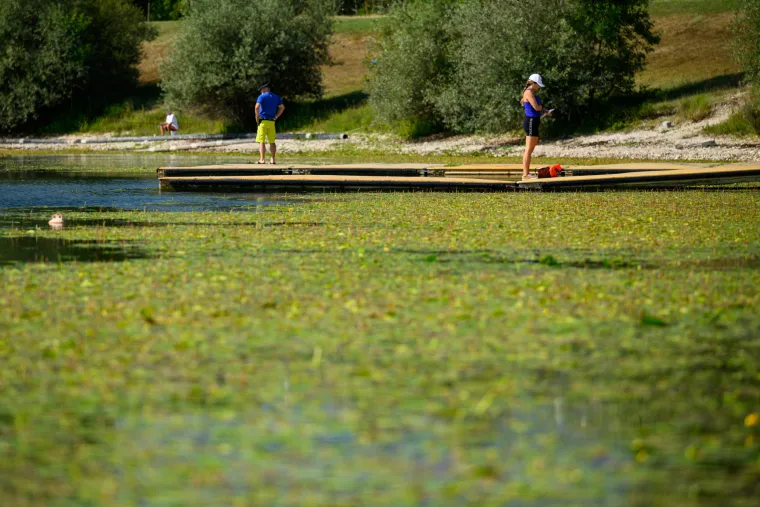 Pogledajte prizore Jaruna koji je prekriven muljem i smećem, a kupači plivaju među lopočima