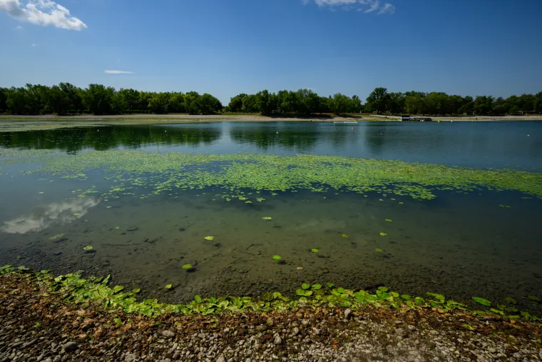 Pogledajte prizore Jaruna koji je prekriven muljem i smećem, a kupači plivaju među lopočima