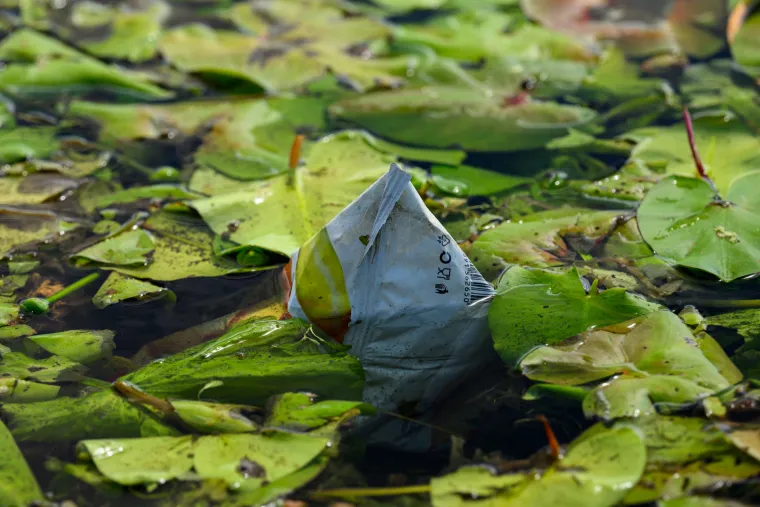 Pogledajte prizore Jaruna koji je prekriven muljem i smećem, a kupači plivaju među lopočima