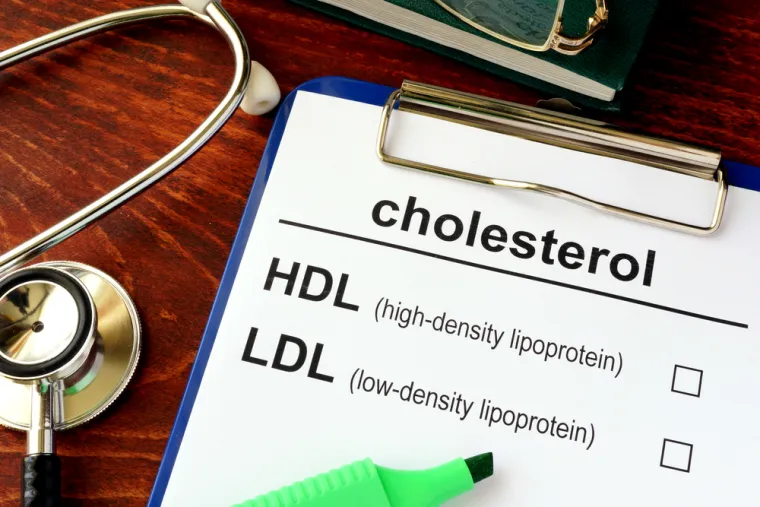 Postoji razlika između dobrog i lošeg kolesterola. LDL kolesterol (lipoproteini male gustoće) u narodu se naziva loš kolesterol, a njegova je zadaća da prenosi kolesterol iz jetra u stanice. To je onaj kolesterol koji uzrokuje prethodno navedene zdravstvene probleme i treba ga držati pod kontrolom. HDL (lipoproteini velike gustoče) je dobar kolesterol, a njegova zadaća u organizmu je sakupljanje viška kolesterola iz krvi i transport u jetra gdje se dalje metabolizira. On prevenira i smanjuje štetu koju organizmu čini loš kolesterol.