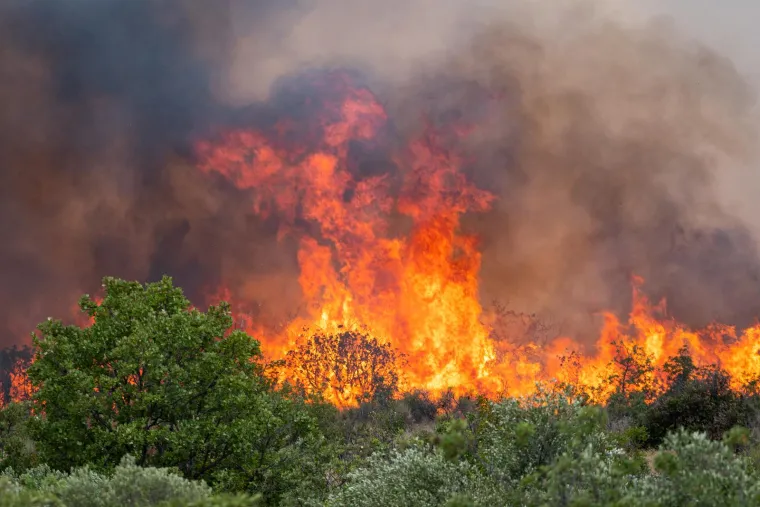 Tri požara na &scaron;ibenskom području gutaju &scaron;umu na vodičkoj obilaznici prema Srimi, ali i prema Jadriji. Gori i kod Dubrave
