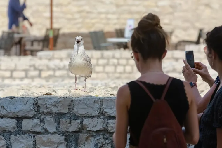 U moru, u hladu, pod kapom ili čak ki&scaron;obranom: Toplotni val i dalje udara, a evo kako se danas uživa u ljetu